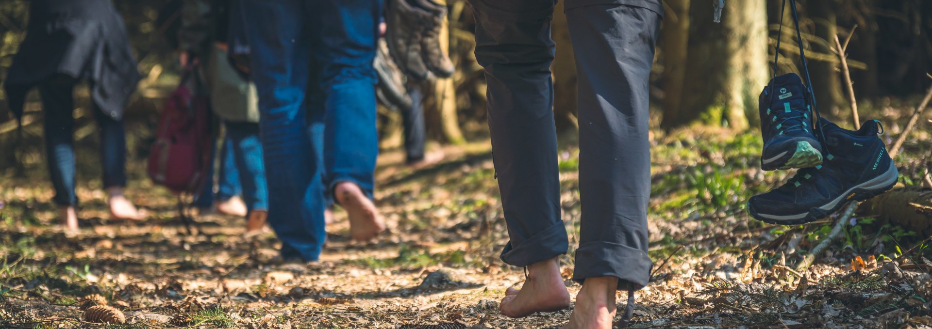 Forest bathing Putbus-Goor2 - Photo M.Boy, © Foto M.Boy