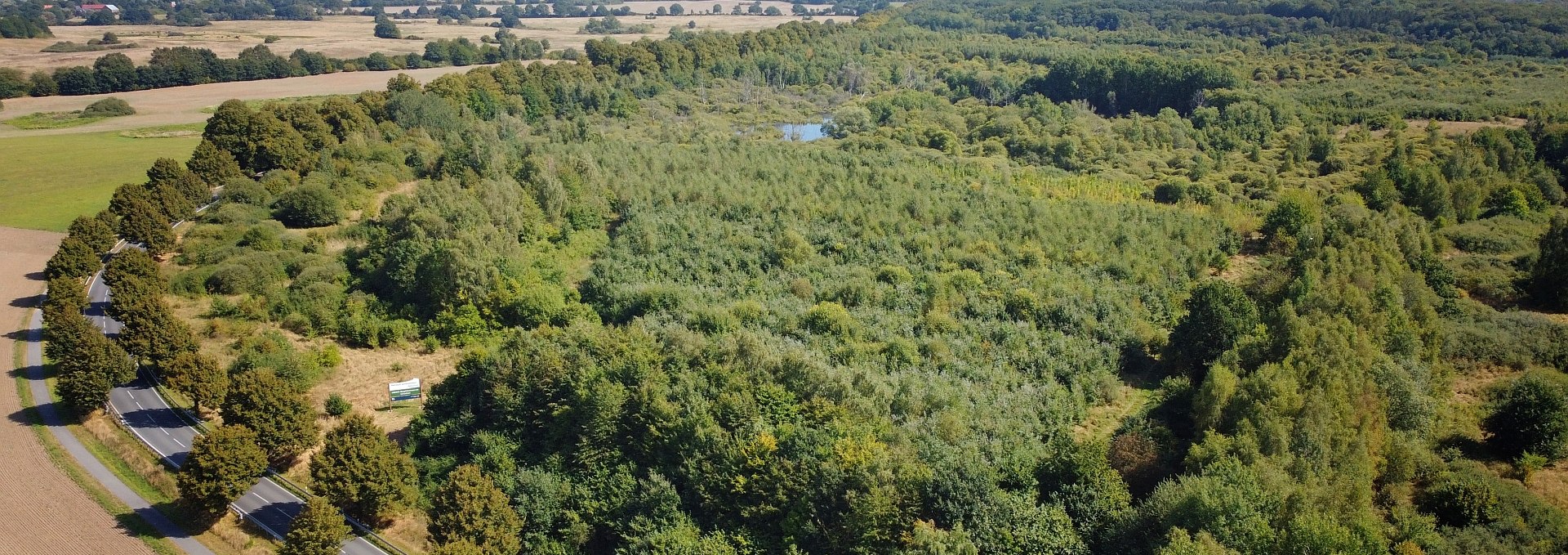 Climate Forest Biosphere Reserve Schaalsee, © Landesforst MV