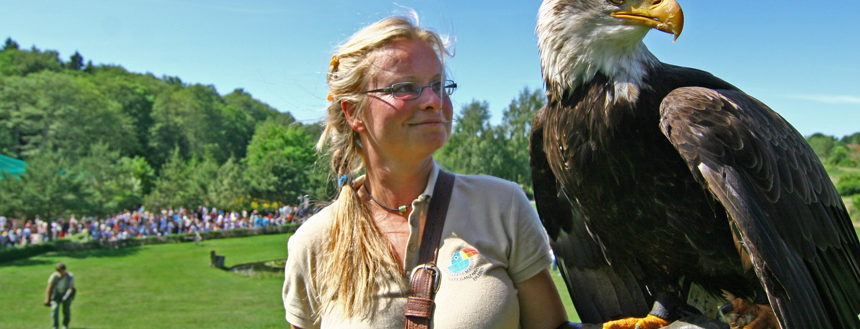 Bald eagle in the air show, © Vogelpark Marlow/Zöger