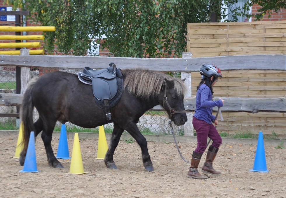 Children can learn a lot from and with horses, © Antje Kopplow