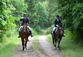 Horseback riding with Reiterhof Groß-Stubben means above all enjoying nature, © Reit- und Fahrverein Poseritz e.V./ Thomas Krimmling