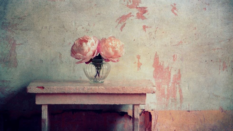 Still life with peonies, © Claudia Drossert