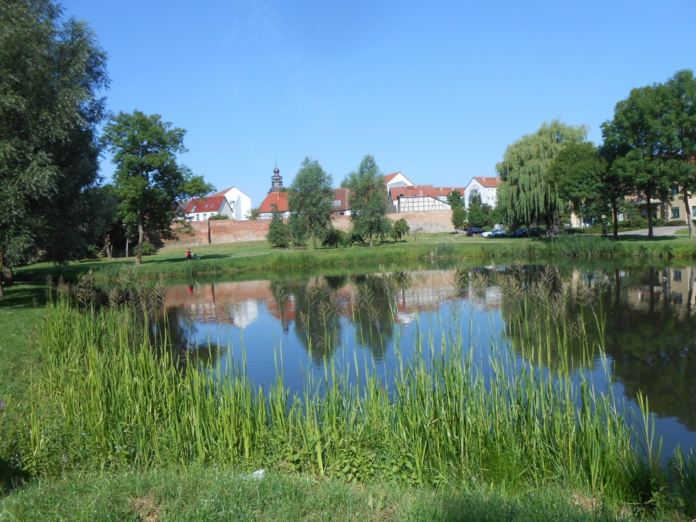 The green oasis of Malchin (city view from the park), © Monika Kröger