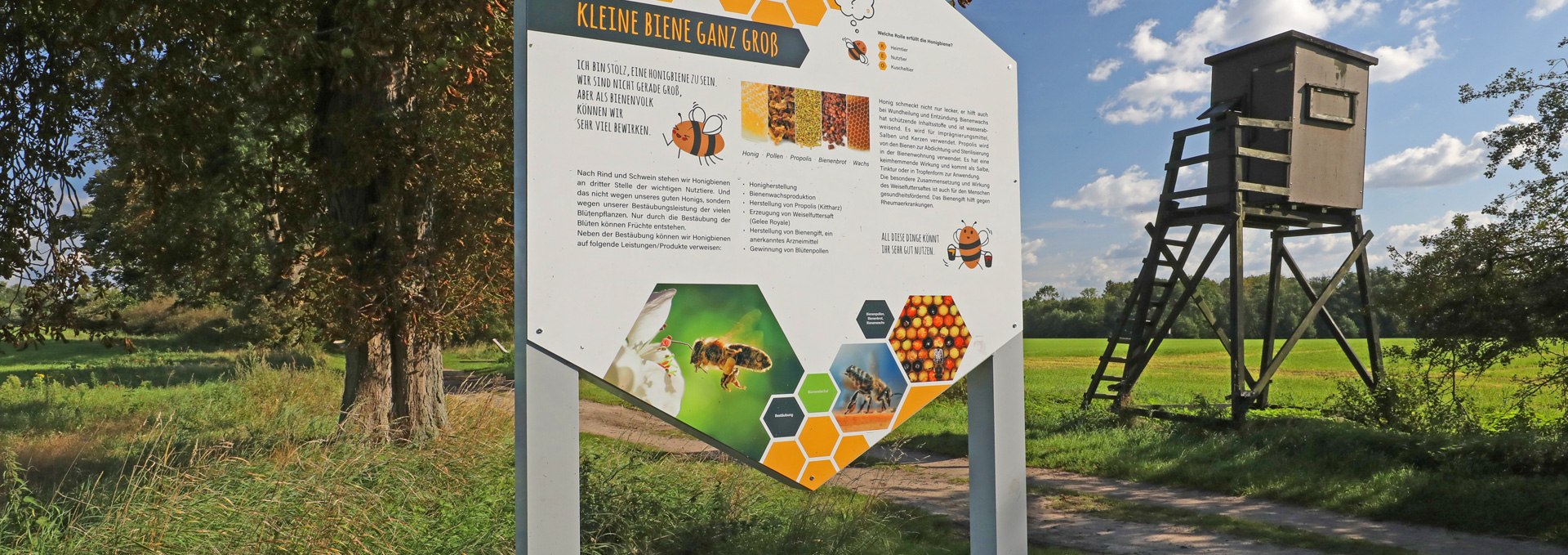 Bee nature trail in Land Fleesensee_5, © TMV/Gohlke