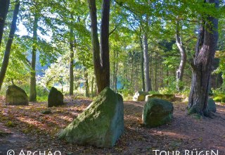 On the coastal path between Lancken-Granitz and Stresow, the "goat stones" lie in the shade of tall deciduous trees., © Archäo Tour Rügen