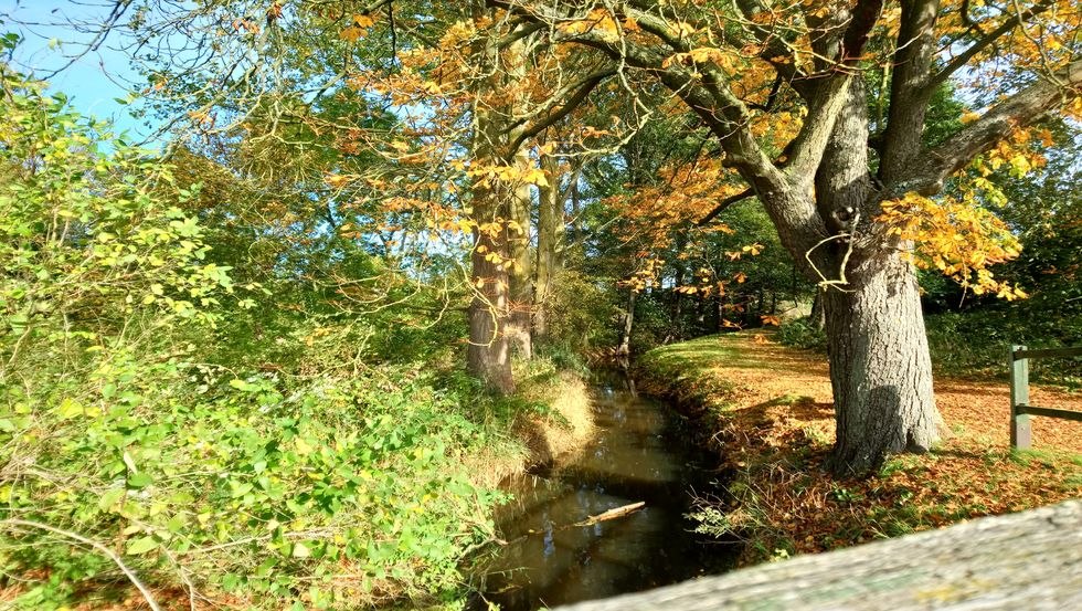 Köthelscher Bach in the direction of the city park, © Jana Koch