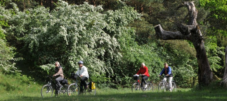 © Waren (Müritz) Kur- und Tourismus GmbH