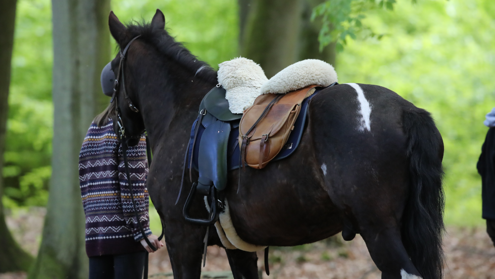 Short times out of the saddle and enjoy nature is highly recommended when hiking in Mecklenburg-Vorpommern., © TMV/Pantel