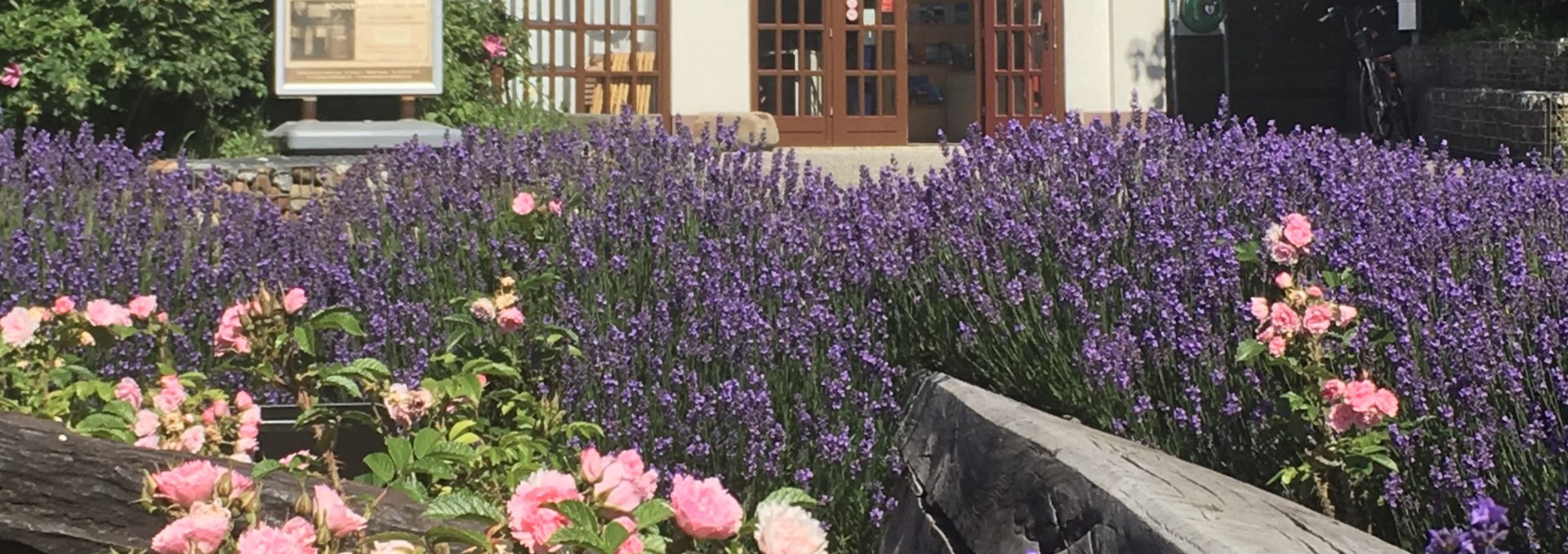 Museum of local history (summer 2019), © Hafen- und Kurbetrieb