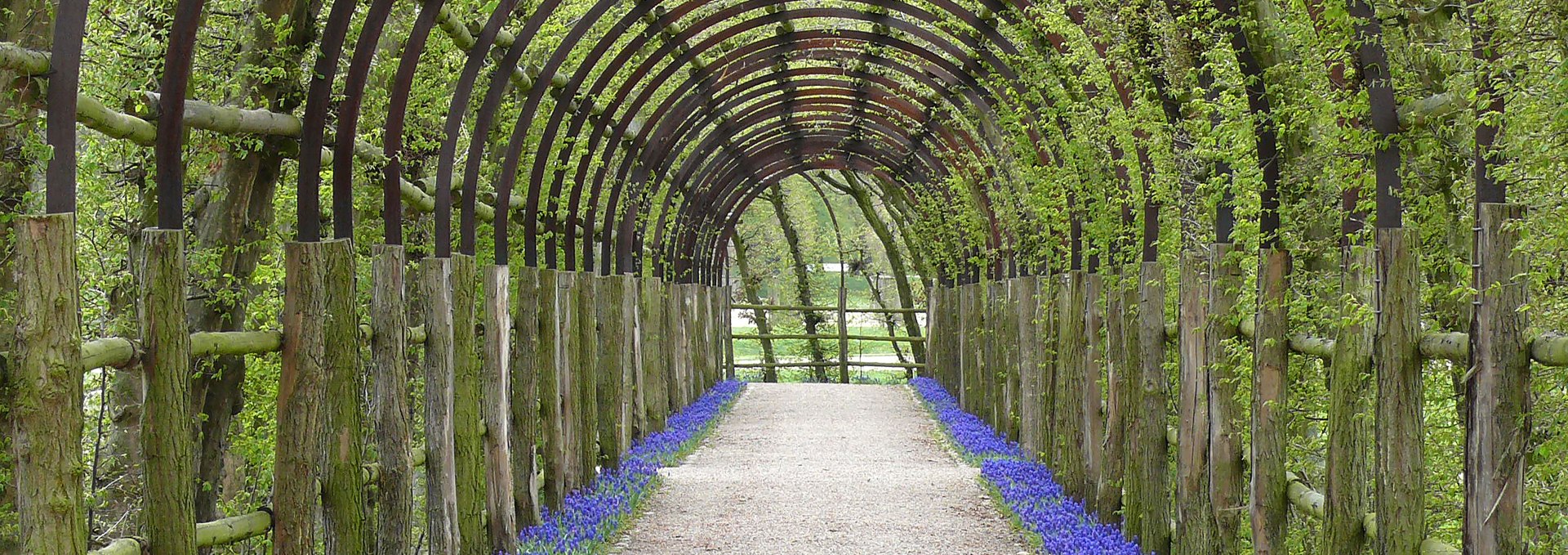 Pergola in Schwerin Palace Garden, © SSGK MV / Dietmar Braune