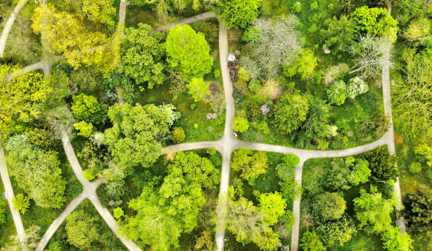 Arboretum from above, © Gudrun Koch