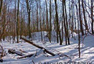 View of the snow-covered castle hill of the ramparts Sassnitz, © Archäo Tour Rügen