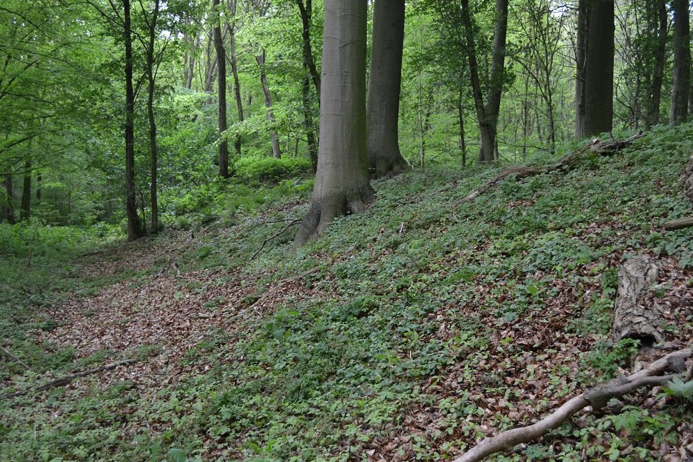 Elevation of the Swedish Redoubt landside, © Lutz Werner