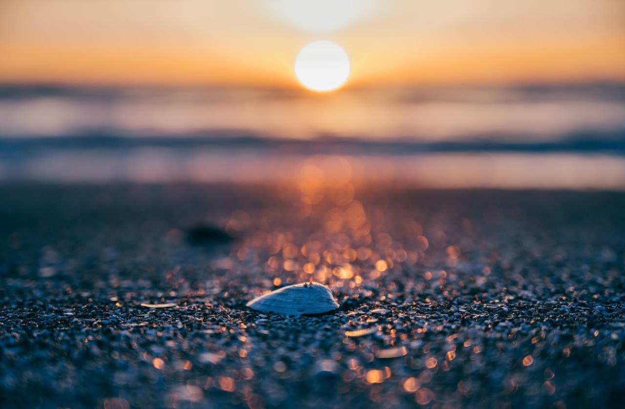 NaturWerkstatt: Strandgut, © Binzer Bucht Tourismus