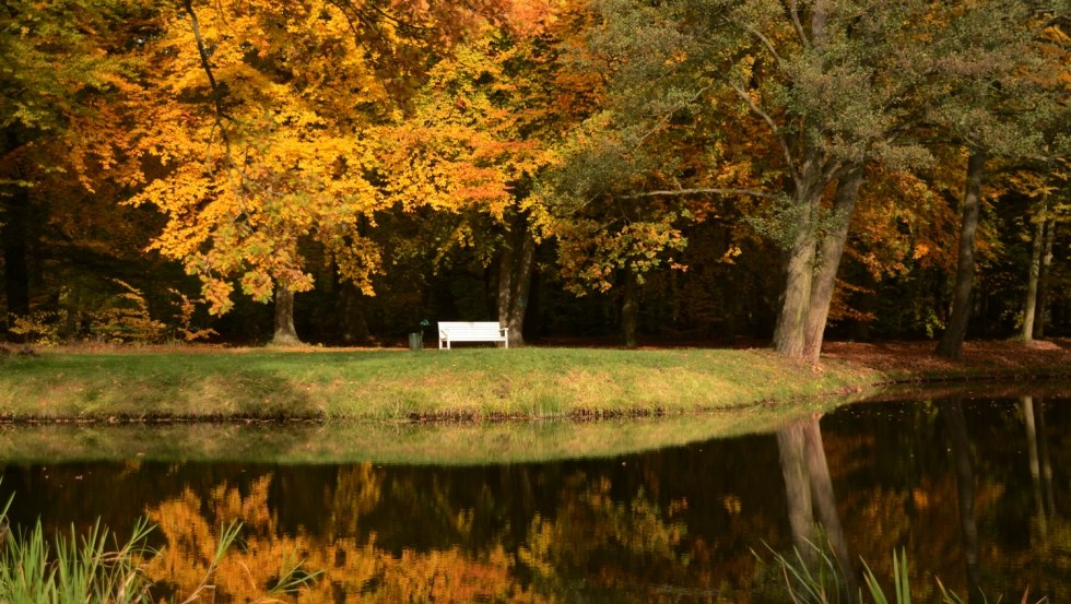 Autumn Ludwigslust Castle Park Bank Autumn, © Tourismusverband Mecklenburg-Schwerin