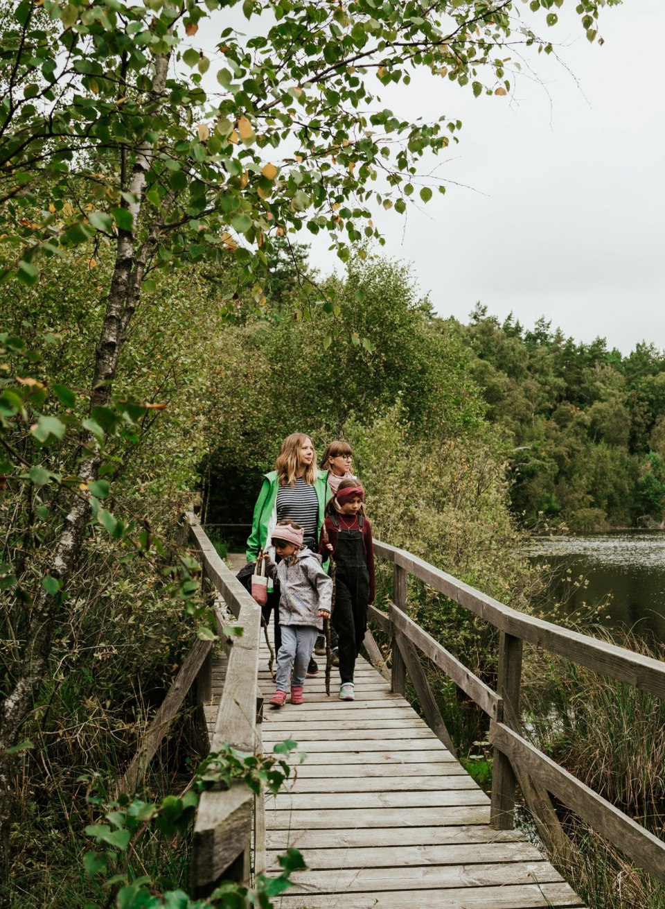 A family explores the Müritz National Park on an idyllic wooden footbridge that leads along a tranquil lake through dense forests. Surrounded by untouched nature, they enjoy the tranquillity and beauty of the landscape.