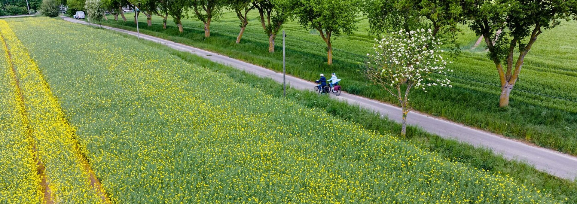 Along the rape fields, © TMV/Gänsicke