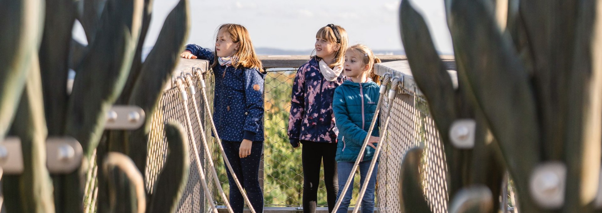 Three children stand on a suspension bridge between two carved wooden sculptures on a treetop path.