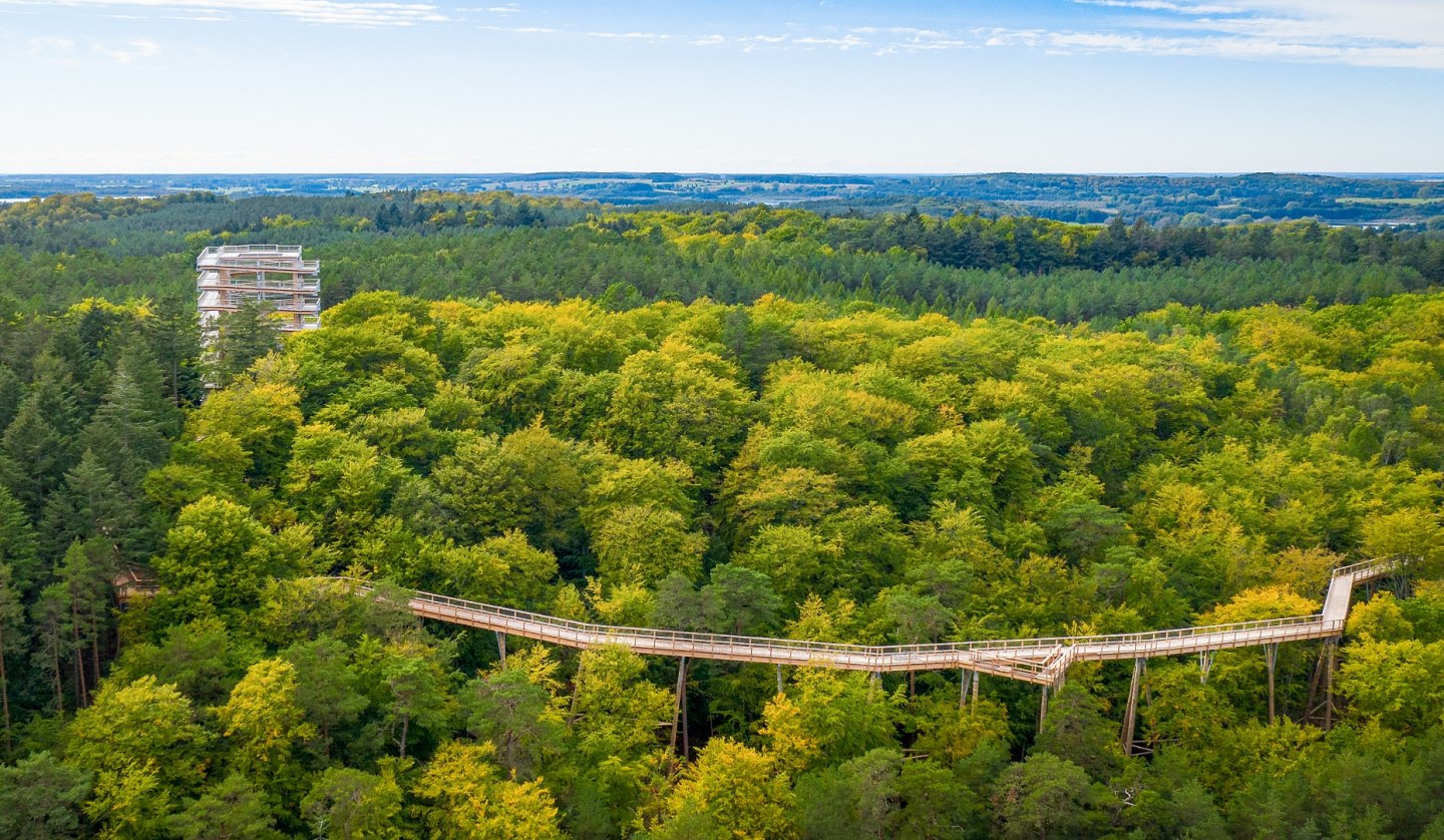 The treetop trail consists of a wooden walkway that winds through the treetops and a 33-meter-high observation tower., © Erlebnis Akademie AG/Baumwipfelpfad Usedom