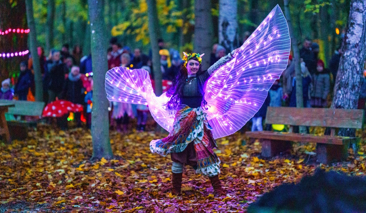 Fairy at the Festival of Lights in the BÄRENWALD Müritz, © BÄRENWALD Müritz