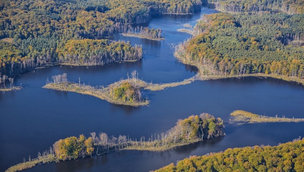 The view over the Schweingartensee shows diversity and dynamics of habitats in the Müritz National Park, © TMV/Grundner