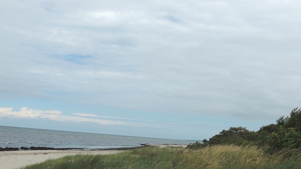 View natural beach, © Kurverwaltung Insel Poel