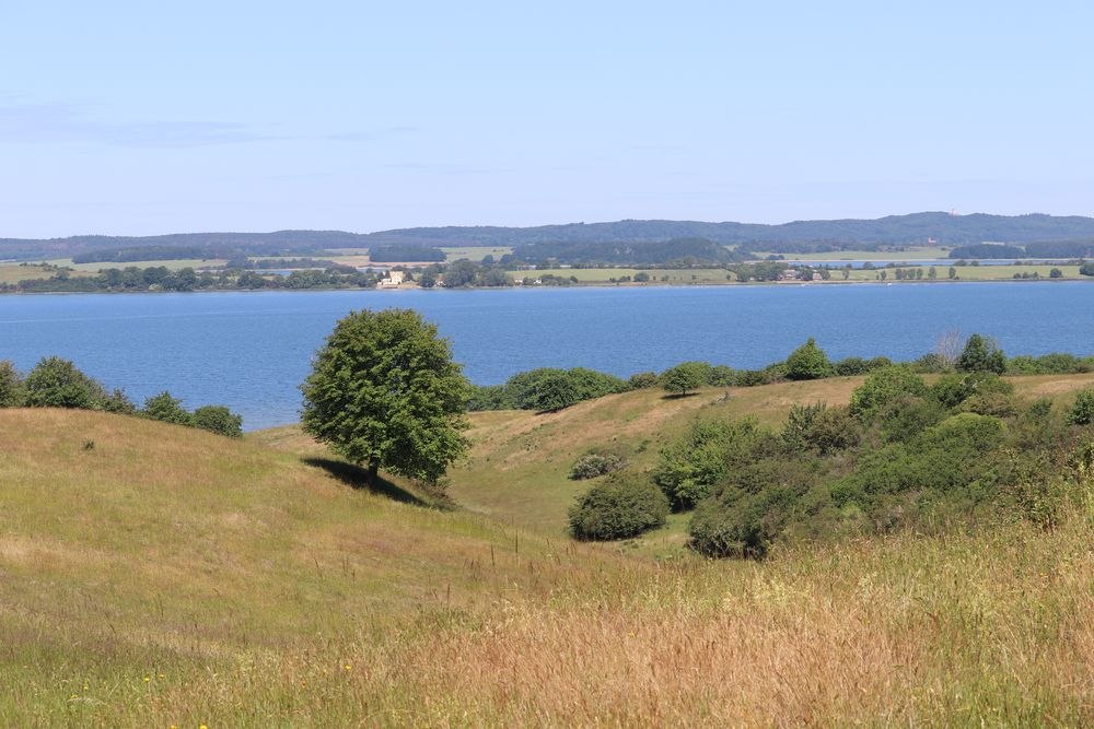 Zicker mountains, © Bildarchiv Biosphärenreservatsamt Südost-Rügen