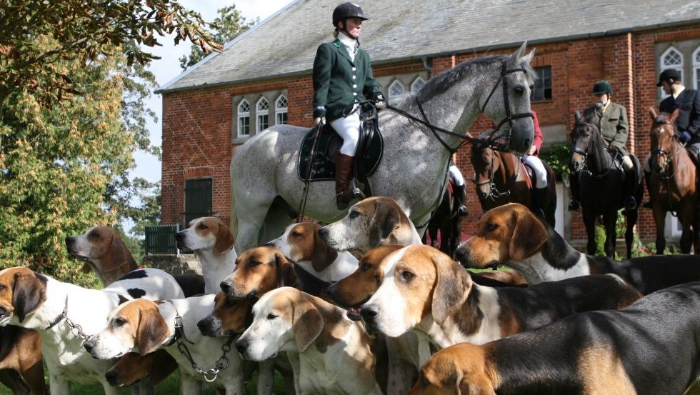 Mecklenburger Meute - Immerse yourself in the experience of hunting riding and the harmony of rider, horse and dog., © FerienGut Dalwitz