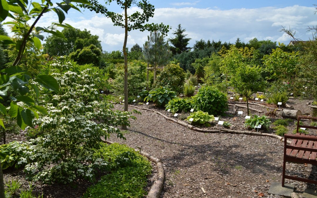 Winding path through the newer part of the plant, © Kevin Hager (Baumschule Hager)