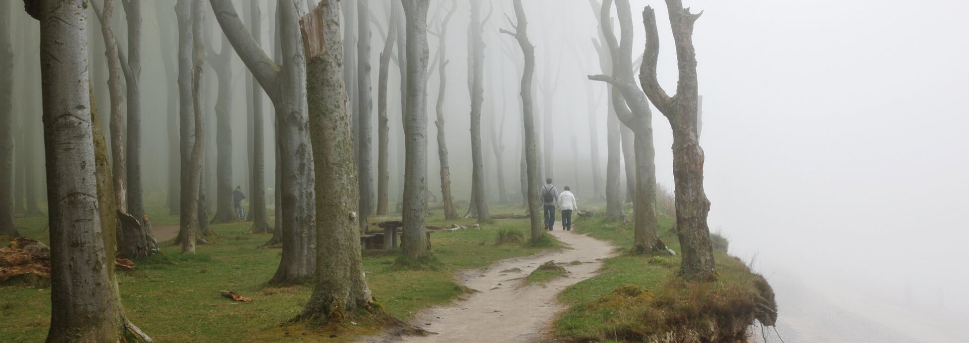 The special atmosphere gives the ghost forest its name, © TMV/Grundner