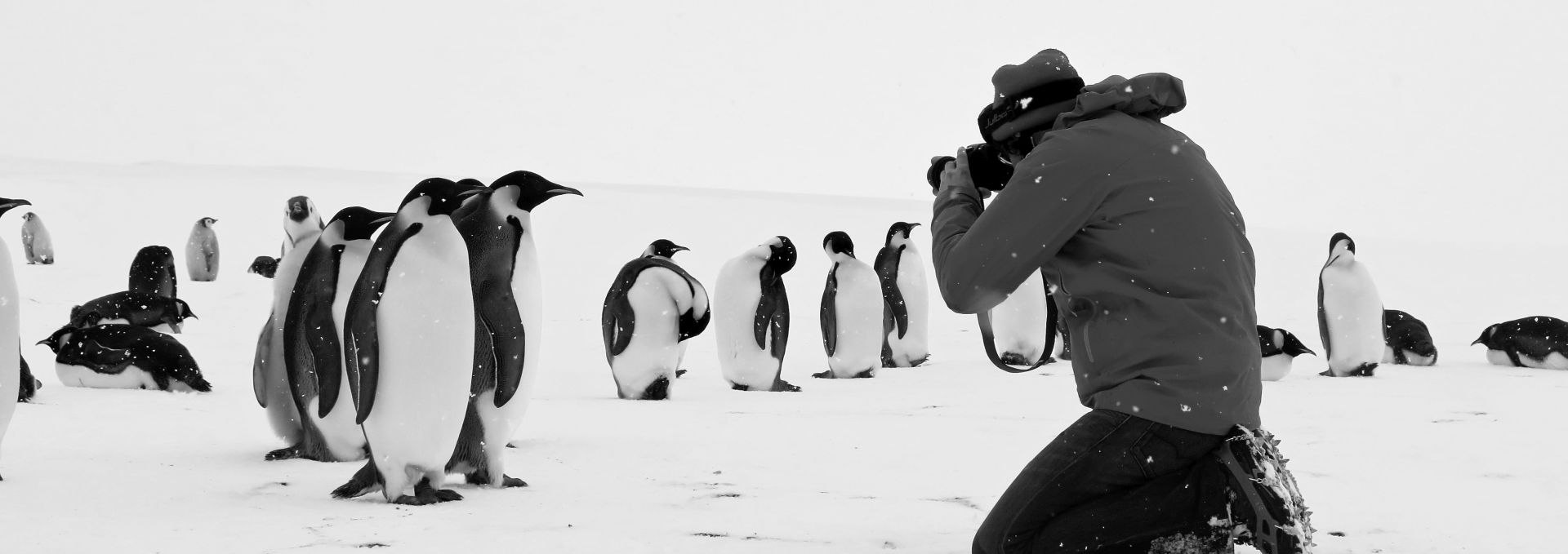 Nature Film Night: Expedition Wild, © Cedric Gentil