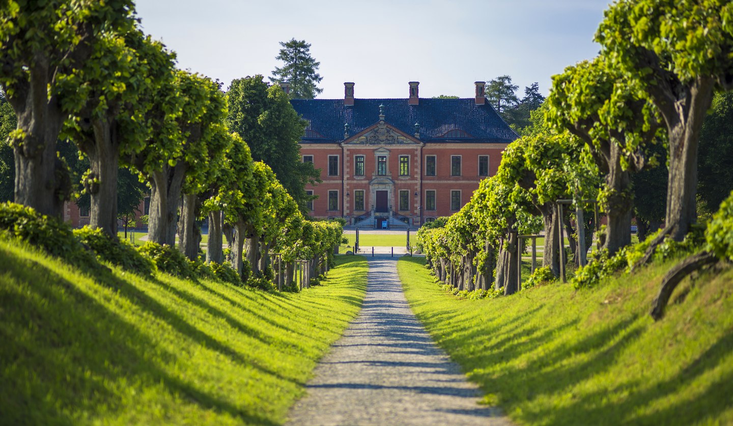 Feston avenue to Bothmer Castle, © SSGK MV / Timm Allrich