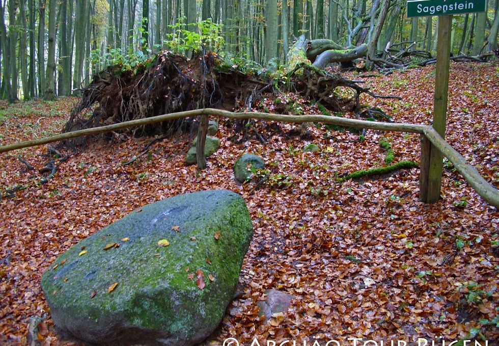 hidden in deciduous forest lies the legendary stone, © Archäo Tour Rügen