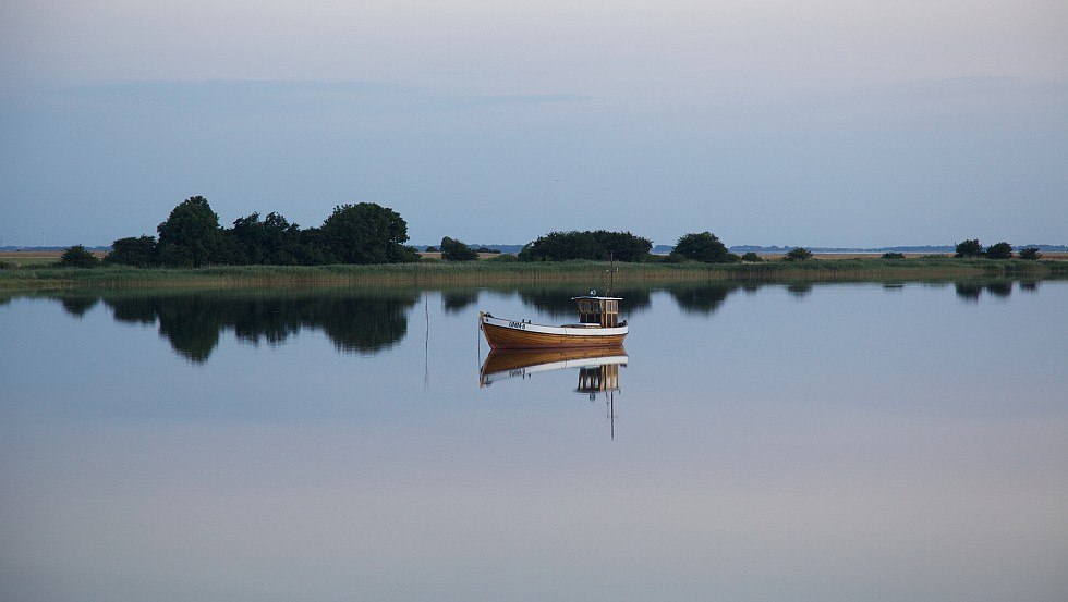 Idyllic view - almost the entire shore is surrounded by reeds, © Tourismuszentrale Rügen GmbH