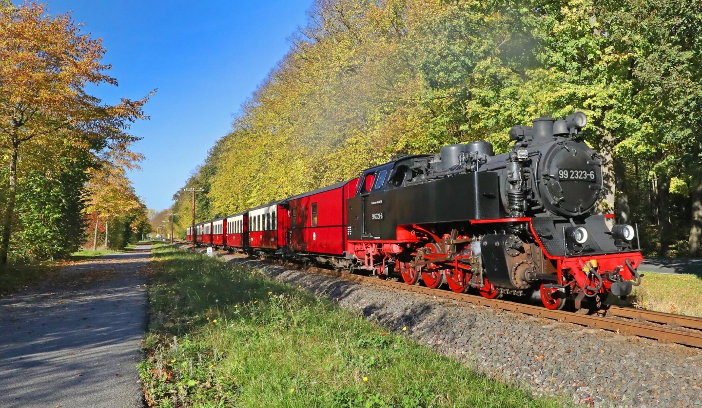 The Molli between Bad Doberan - Heiligendamm - Kühlungsborn, © TMV/Gohlke