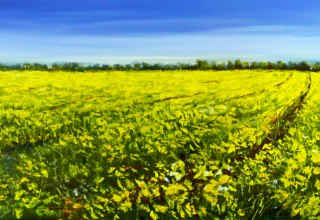 Rapeseed, © Matthias Heinz