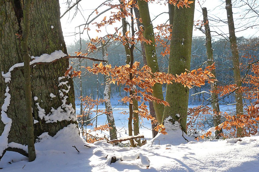 Hike into the new year, © Foto: Nationalparkamt Müritz