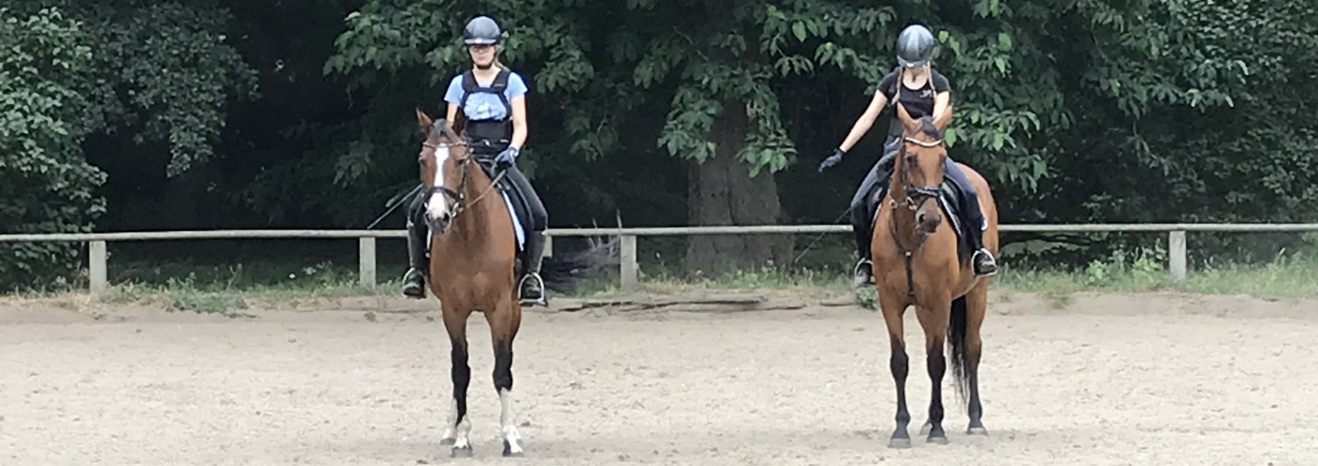 Dressage training on the field in Daugzin, © Karoline Görs