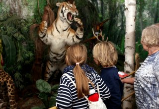 Wildlife Usedom tiger, © H. Böhm / trassenheide.de