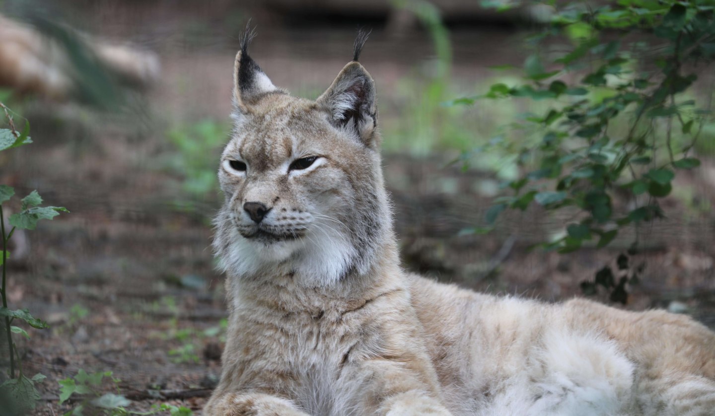 Mikroabenteuer_Zoo Rostock_Brandt, © Zoo Rostock/Brandt