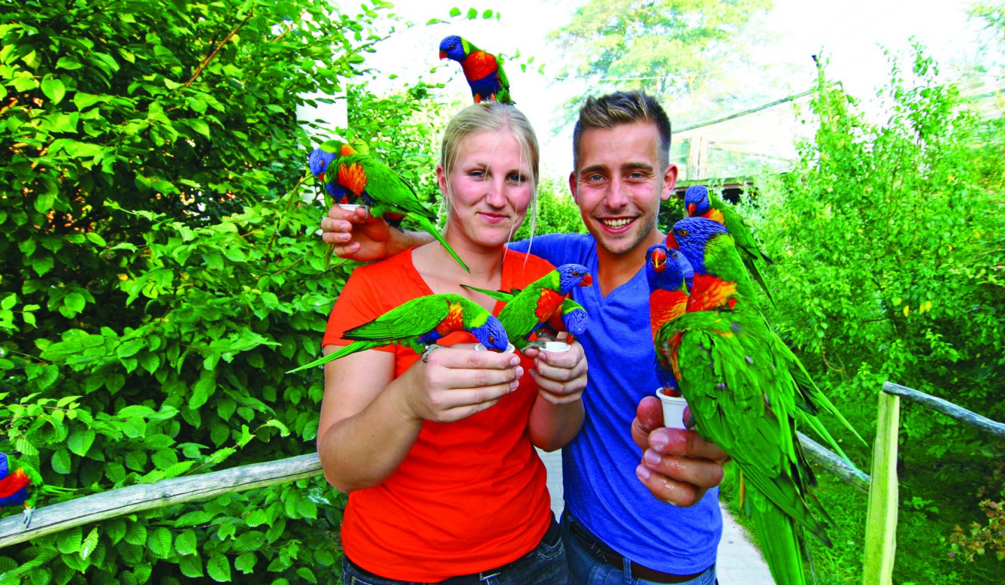 Visitors can feed the Australian loris, © Vogelpark Marlow/Zöger