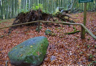 hidden in deciduous forest lies the legendary stone, © Archäo Tour Rügen