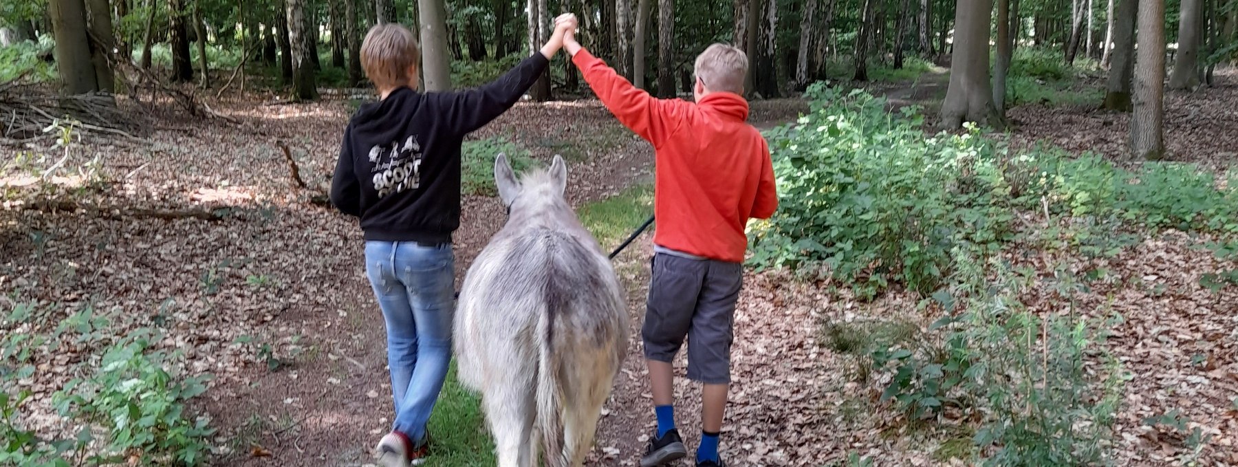 A walk at a leisurely donkey pace can be a great experience for the whole family. Donkeys are level-headed and sensitive animals that like to go on walks with human company., © Andrea Hauser