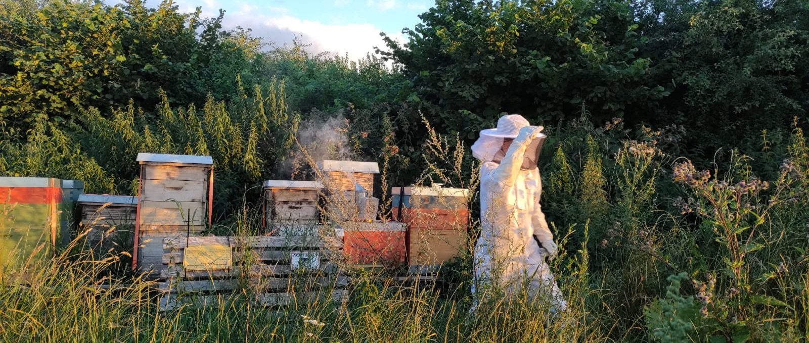 The apiary is part of the farm., © I. Tacke