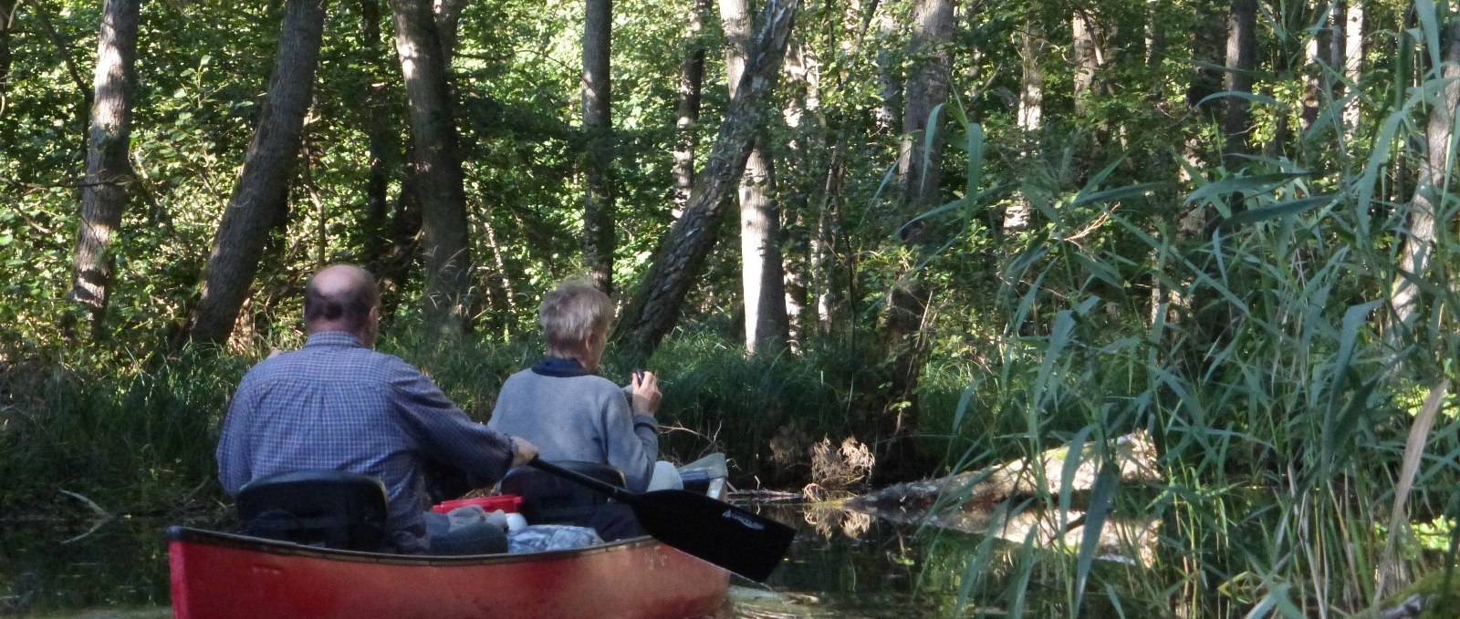 Paddling Mildenitz jungle, © Kanucamp Borkow