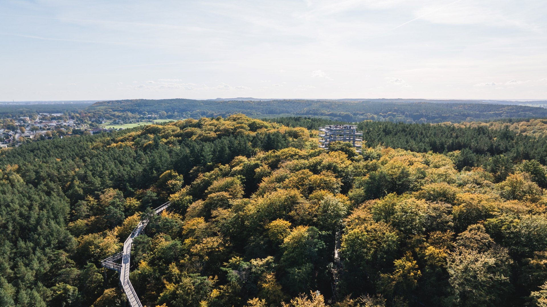 Aerial view of a treetop path winding through a dense forest with a viewing tower in the background.