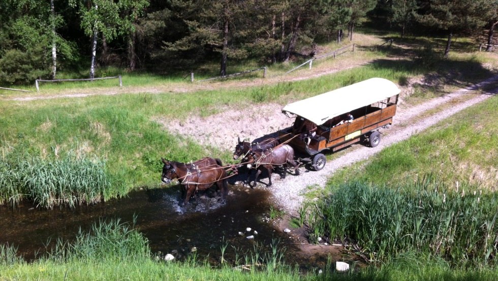 The ride can be exciting. Do the animals go through the water?, © Reit- und Fahrtourstik Lychen