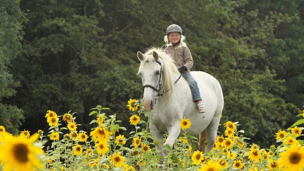 So beautiful can be the country vacation Diemitz, © Landurlaub Diemitz/ Renate Strohm