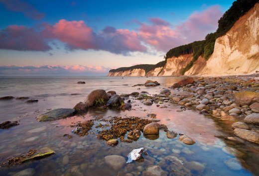 Pure romance: With rustic power, nature created one of Germany's most famous landmarks over millions of years - the chalk coast rising up to 161 sea in the Jasmund National Park on the island of Rügen., © TMV/Allrich