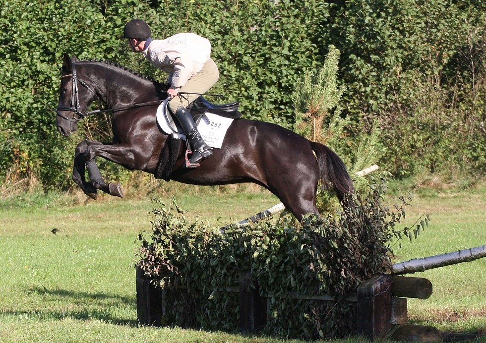 Erlkönig in the terrain, © Trakehnerhof Valluhn